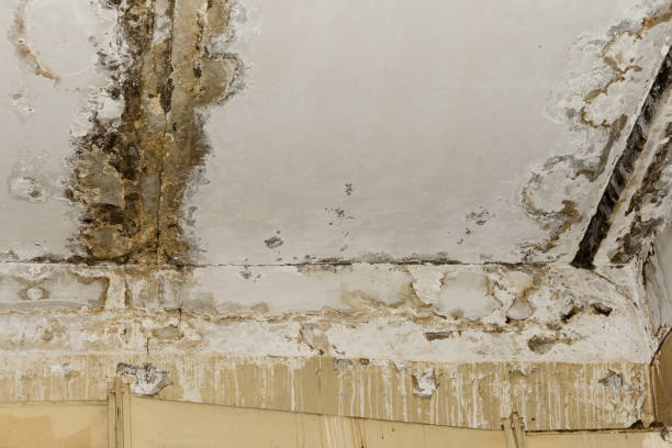 Asbestos and Lead Testing During Mold Inspection in Tucson Estates, AZ