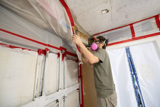 Best HVAC Mold Inspection and Cleaning  in Tucson Estates, AZ
