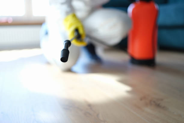 Best Environmental Consulting for Mold Prevention  in Tucson Estates, AZ