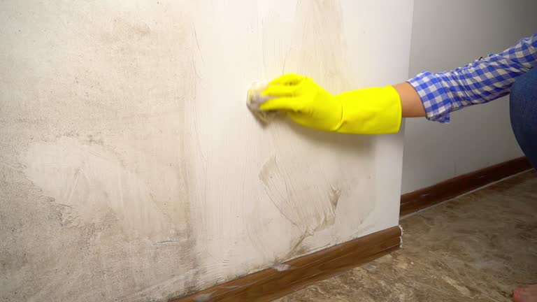 Best Airborne Mold Testing  in Tucson Estates, AZ