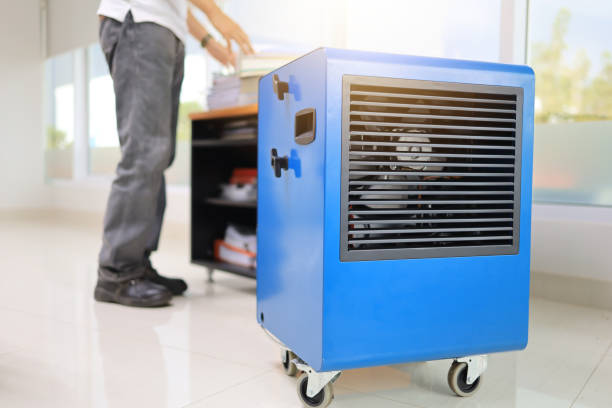 Best Mold Odor Removal Services  in Tucson Estates, AZ